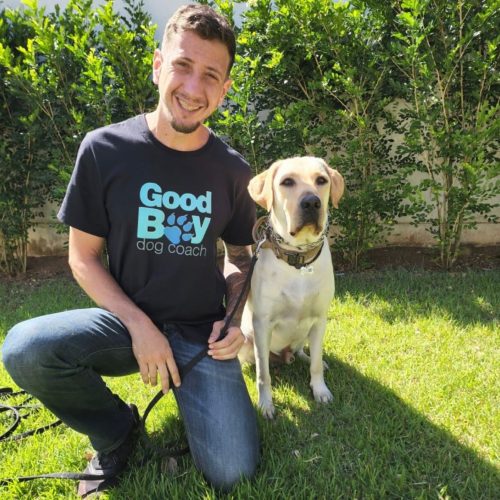 adestramento canino - Recreio dos Bandeirantes